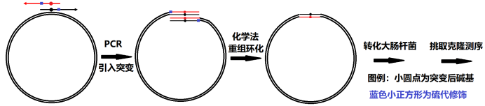 69490368e4cd7.png image.png